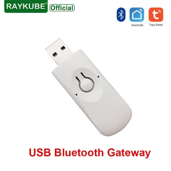 RAYKUBE B4 USB Bluetooth портал за приложения на Hristo, интелигентна система за заключване на вратите, Wifi-хъб, Bluetooth-умен безжичен адаптер, дистанционно управление