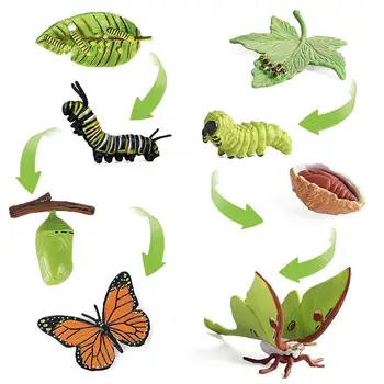 Фигурки на жизнения цикъл на пеперуда, 8 бр., определени от гъсеници до пеперудата, биологичния модел на жизнения цикъл на пеперуда